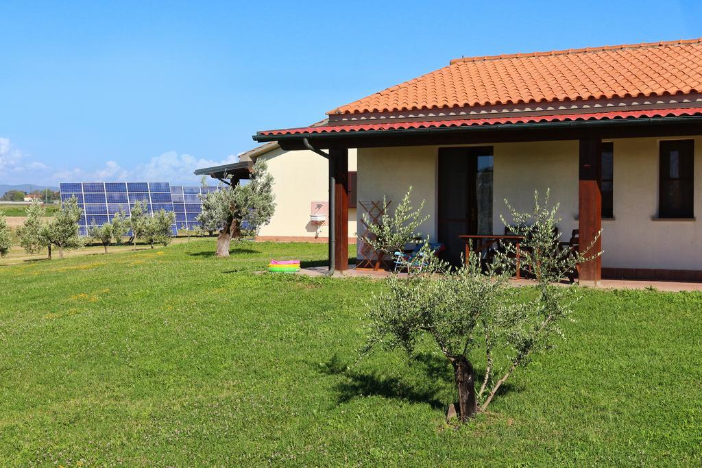 Agriturismo Gli Etruschi Populonia Ngoại thất bức ảnh
