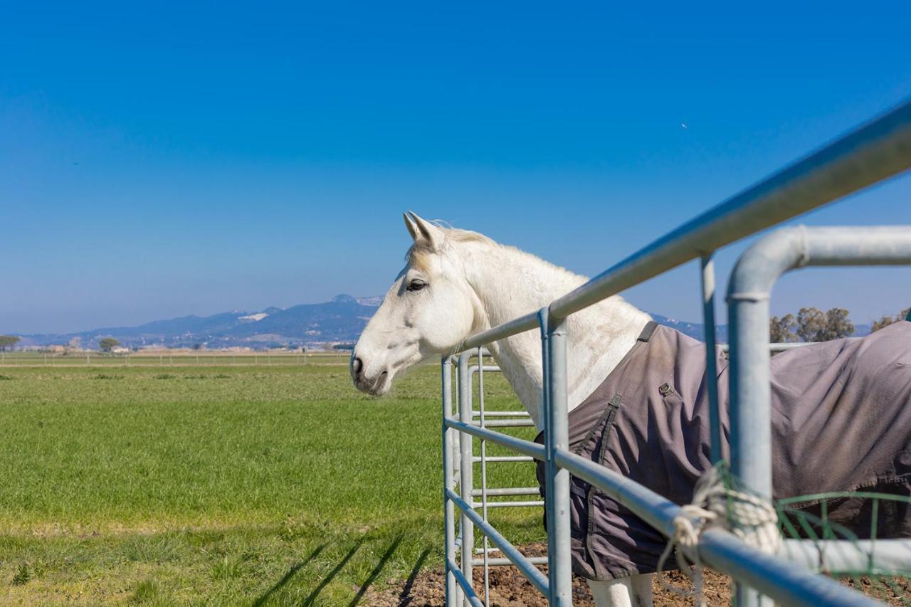 Agriturismo Gli Etruschi Populonia Ngoại thất bức ảnh