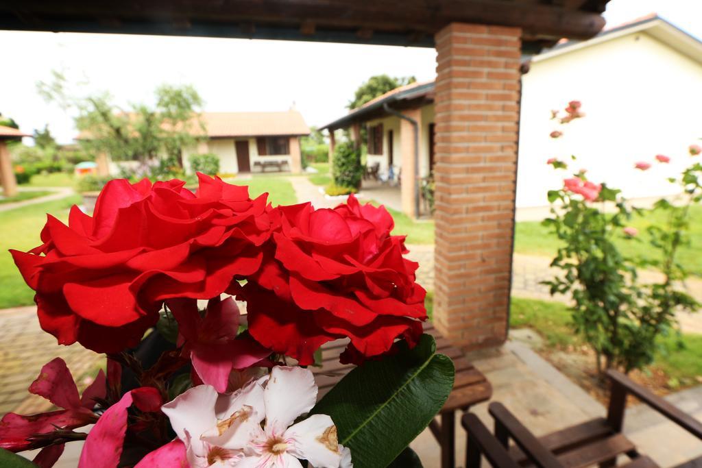 Agriturismo Gli Etruschi Populonia Phòng bức ảnh